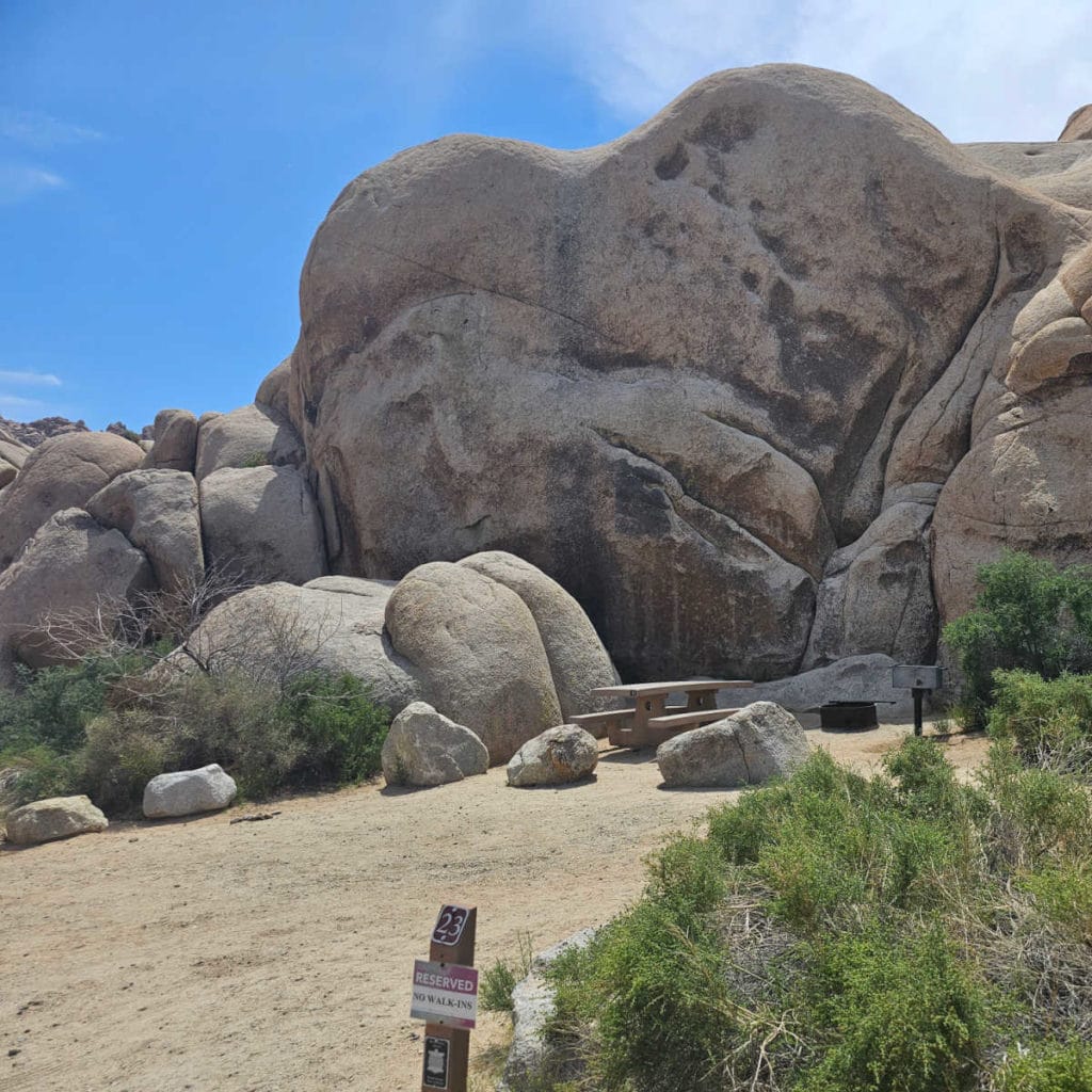 campsite 23 Indian Cove Campground Joshua Tree National Park Ca