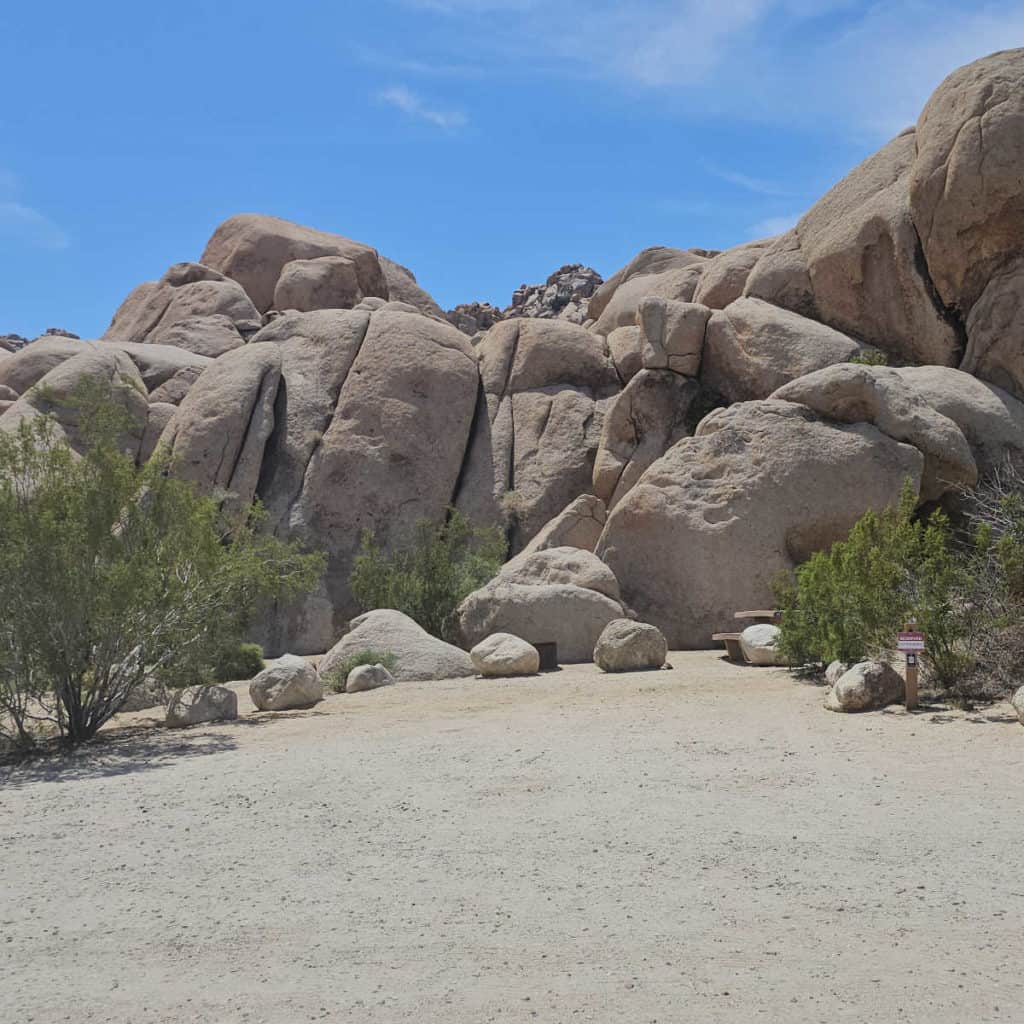 campsite 24 Indian Cove Campground Joshua Tree National Park