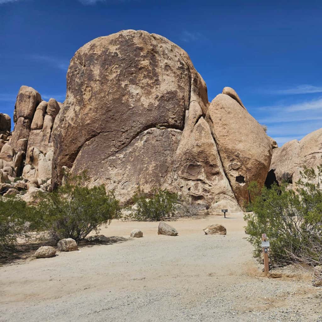 campsite 30 Indian Cove Campground Joshua Tree National Park