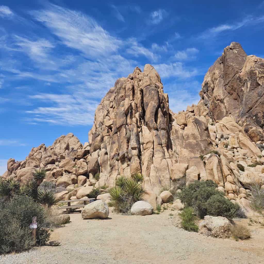 campsite 84 Indian Cove Campground Joshua Tree National Park