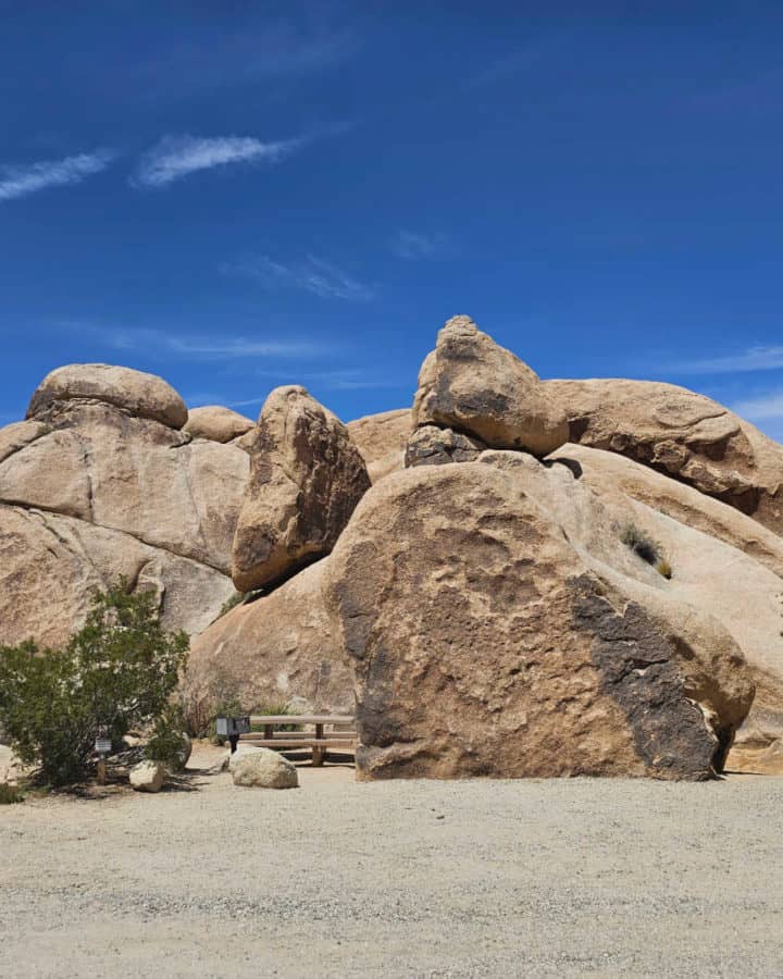 campsite in Indian Cove Campground Joshua Tree National Park