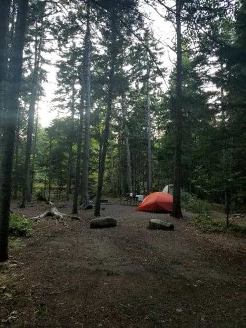 Acadia National Park Camping | Park Ranger John