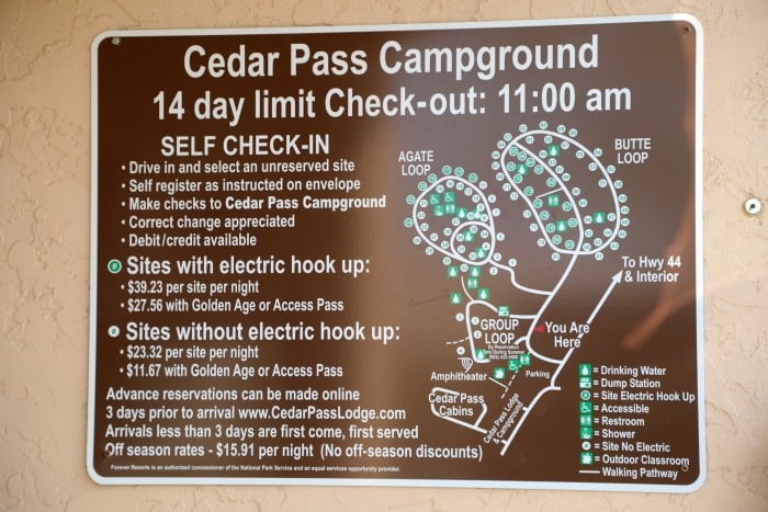 are dogs allowed at cedar pass campground