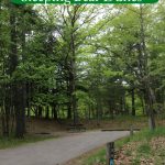 Photo of a campsite in with text reading "Platte River Campground Sleeping Bear Dunes by ParkRangerJohn.com"