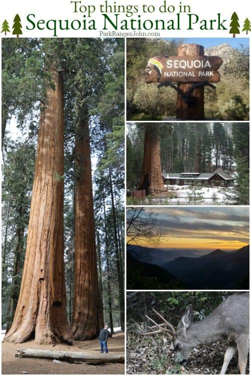 Things to do in Sequoia National Park | Park Ranger John