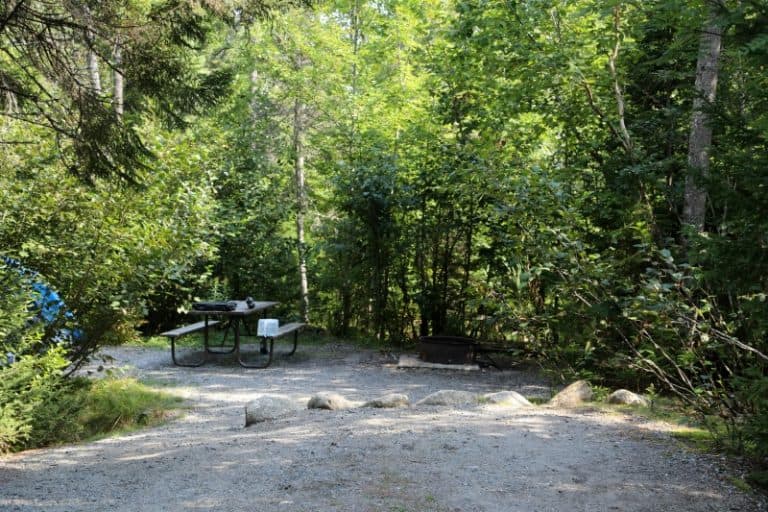 Acadia National Park Camping | Park Ranger John