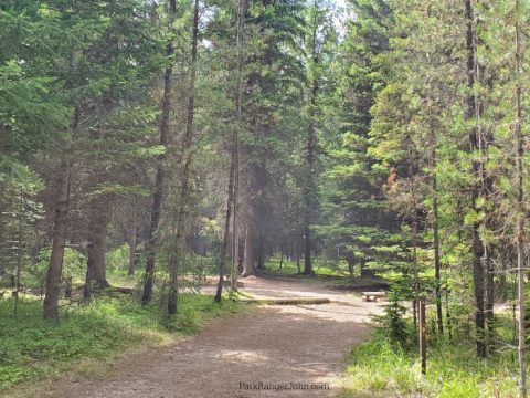 Escape to Nature's Embrace: A Guide to Bowman Lake Campground