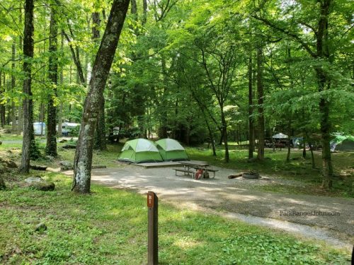 Elkmont Campground - Great Smoky Mountains National Park | Park Ranger John