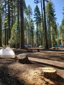 Crane Flat Campground - Yosemite National Park | Park Ranger John