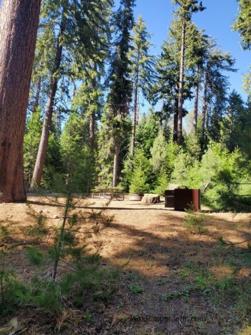 Crystal Springs Campground - Kings Canyon National Park | Park Ranger John