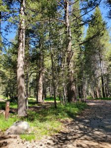 Tuolumne Meadows Campground - Yosemite National Park | Park Ranger John