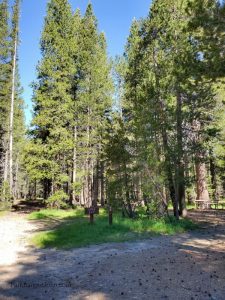 Tuolumne Meadows Campground - Yosemite National Park | Park Ranger John