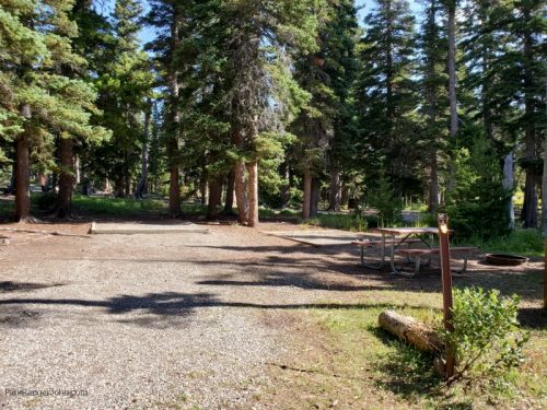 Cut Bank Campground - Glacier National Park | Park Ranger John