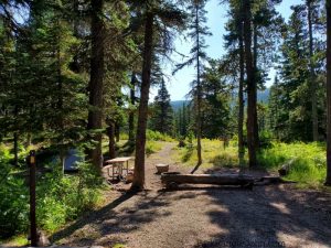 Cut Bank Campground - Glacier National Park | Park Ranger John