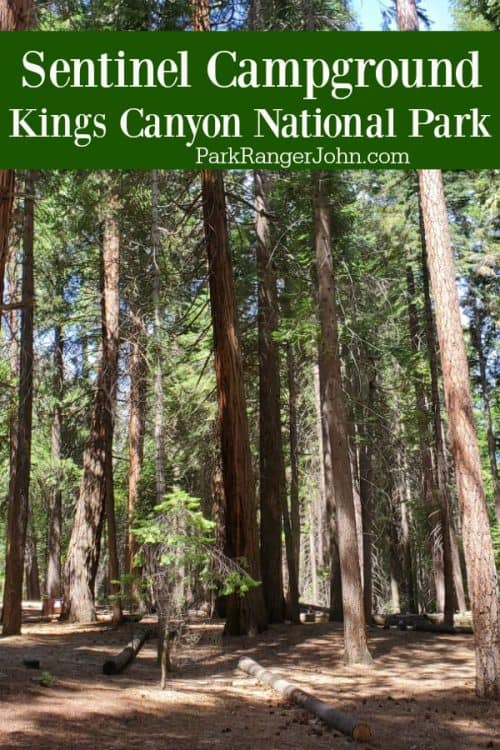 Sentinel Campground - Kings Canyon National Park | Park Ranger John