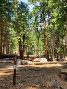 Sentinel Campground - Kings Canyon National Park | Park Ranger John