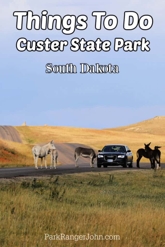 photo of the Wildlife Scenic Drive with a vehicle and several burros with text reading "Things to do Custer State Park by ParkRangerJohn.com"