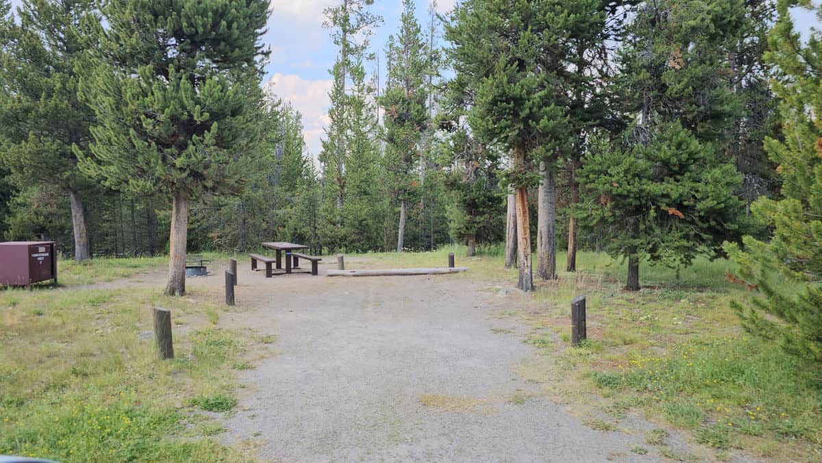 Campsite 7 Indian Creek Campground Yellowstone National Park