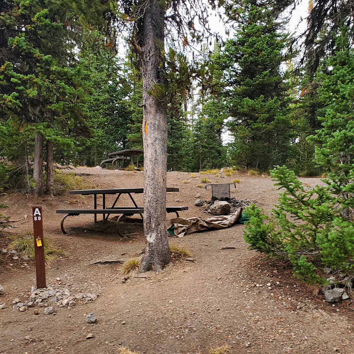 Campsite A80 Lewis Lake Campground Yellowstone National Park