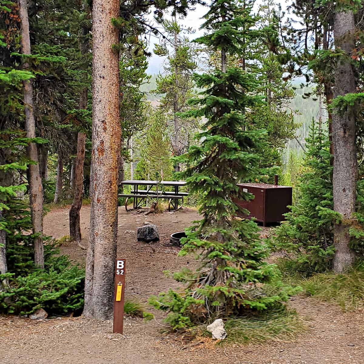 Campsite B52 Lewis Lake Campground Yellowstone National Park