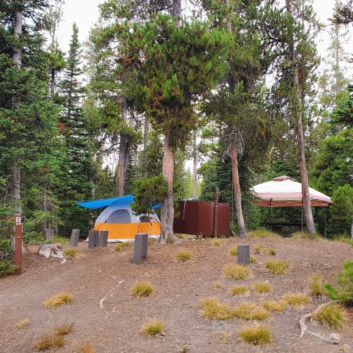 Lewis Lake Campground - Yellowstone National Park | Park Ranger John