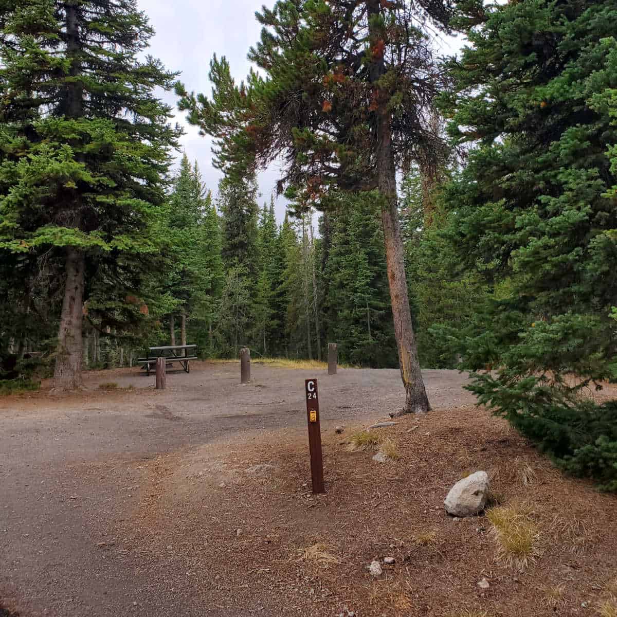 Campsite C24 Lewis Lake Campground Yellowstone National Park