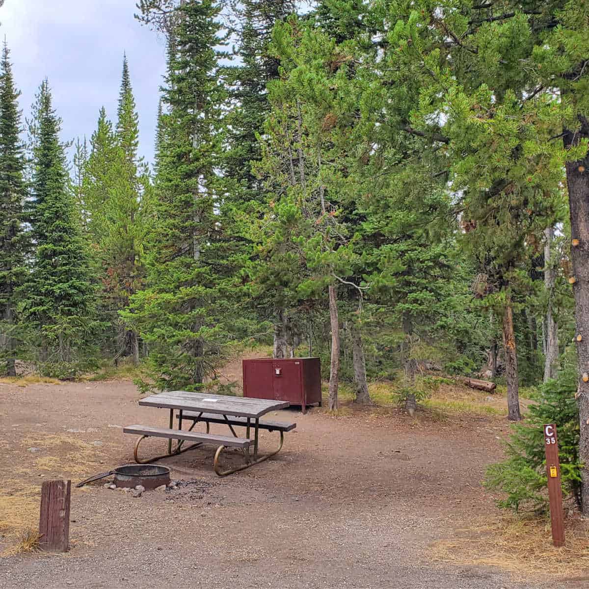 Campsite C35 Lewis Lake Campground Yellowstone National Park