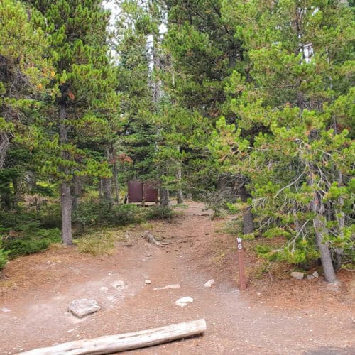 Lewis Lake Campground - Yellowstone National Park | Park Ranger John