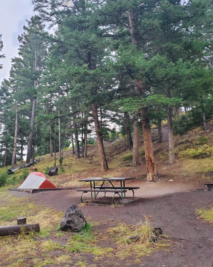 Campsite in Tower Fall Campground Yellowstone National Park