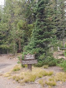 Lewis Lake Campground - Yellowstone National Park | Park Ranger John