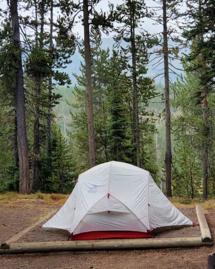 Lewis Lake Campground Yellowstone National Park