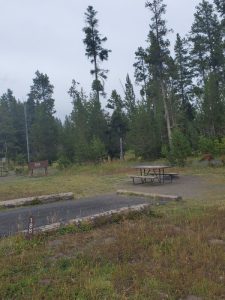 Bridge Bay Campground - Yellowstone National Park {Video} | Park Ranger ...