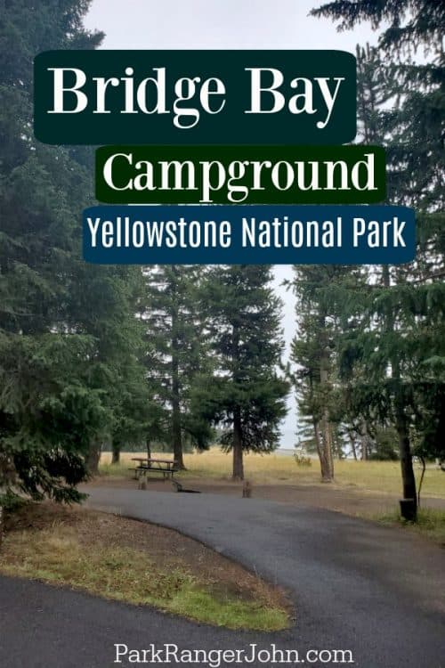 Bridge Bay Campground - Yellowstone National Park {Video} | Park Ranger ...