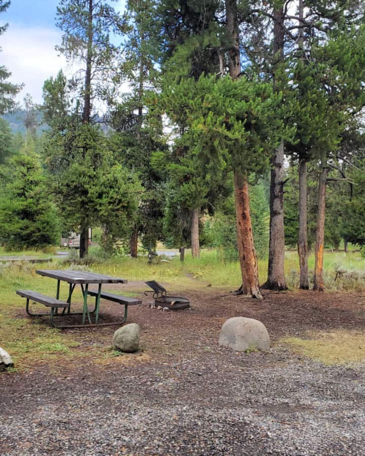 Campsite in Pebble Creek Campground Yellowstone National Park