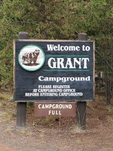 Grant Village Campground - Yellowstone National Park {Video} | Park ...