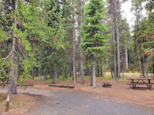 Grant Village Campground - Yellowstone National Park {Video} | Park ...