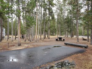 Madison Campground - Yellowstone National Park {Video} | Park Ranger John