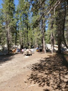 Porcupine Flat Campground - Yosemite National Park | Park Ranger John