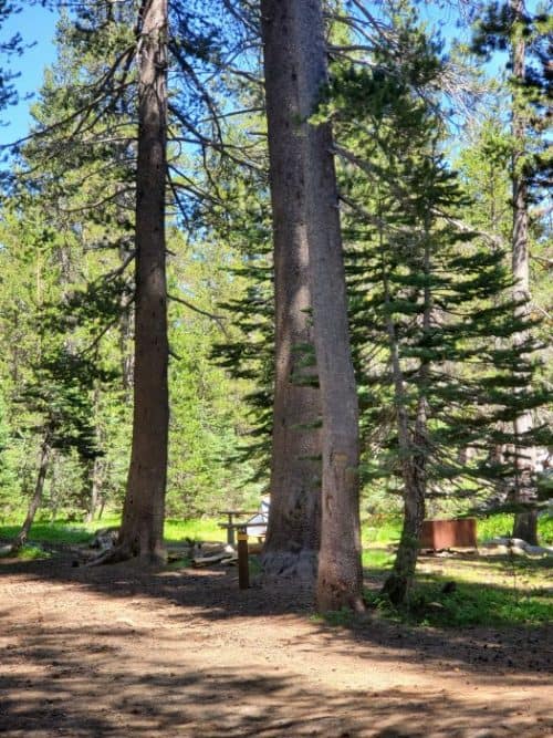 Porcupine Flat Campground - Yosemite National Park | Park Ranger John