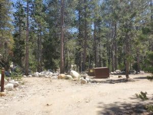 Yosemite Creek Campground - Yosemite National Park 