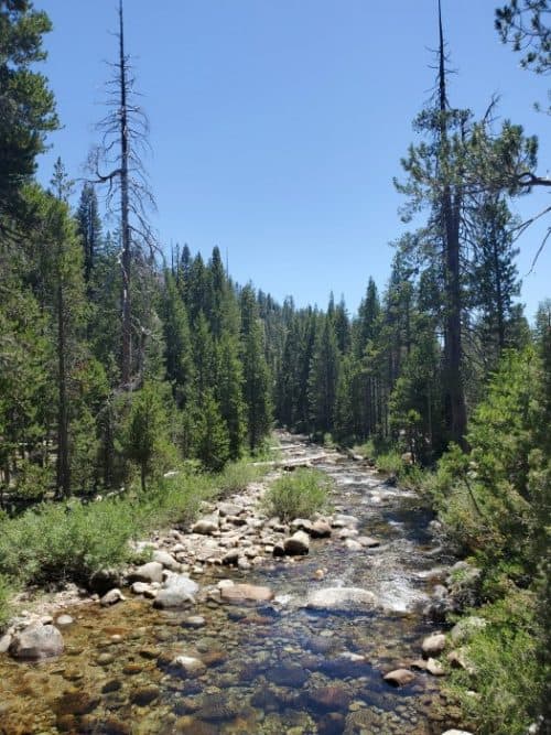 Yosemite Creek Campground - Yosemite National Park | Park Ranger John