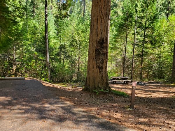 Cave Creek Campground - Oregon Caves National Monument | Park Ranger John