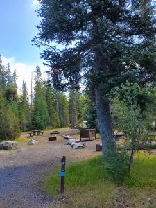 Mazama Campground - Crater Lake National Park | Park Ranger John