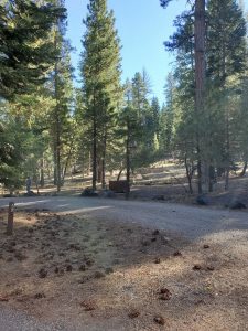 Butte Lake Campground - Lassen Volcanic National Park | Park Ranger John