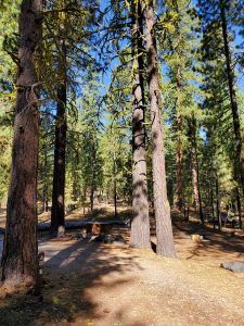 Butte Lake Campground - Lassen Volcanic National Park | Park Ranger John