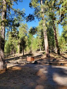 Butte Lake Campground - Lassen Volcanic National Park | Park Ranger John