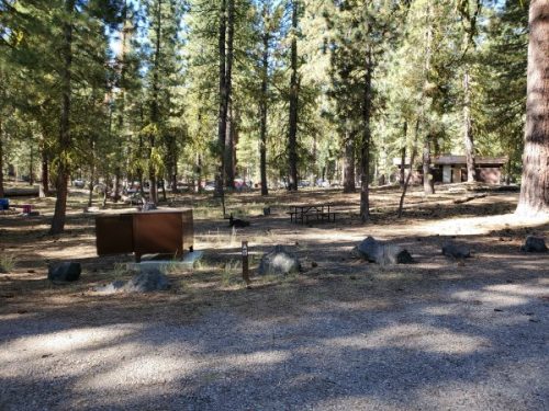 Butte Lake Campground - Lassen Volcanic National Park | Park Ranger John