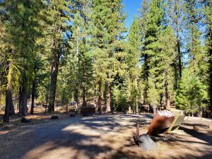 Butte Lake Campground - Lassen Volcanic National Park | Park Ranger John