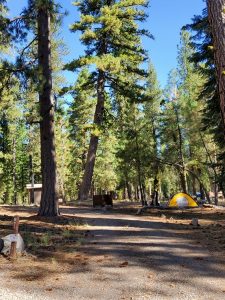 Butte Lake Campground - Lassen Volcanic National Park | Park Ranger John