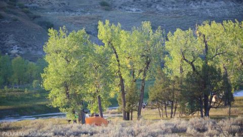 Roughing It In Paradise: Your Guide To Cottonwood Campground, Theodore Roosevelt National Park